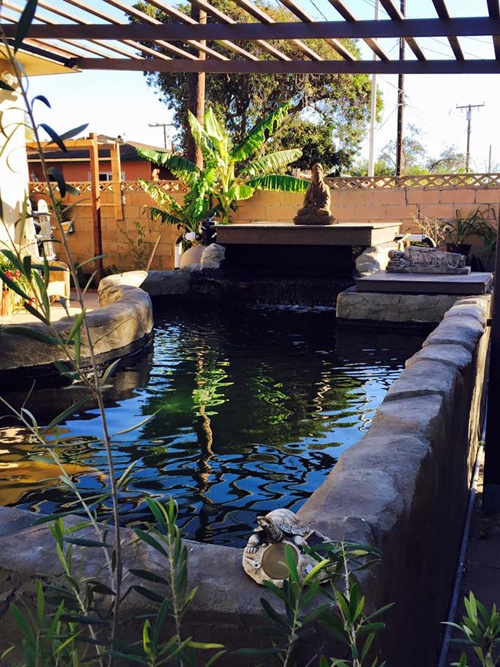 Nha sao Viet o My anh 15