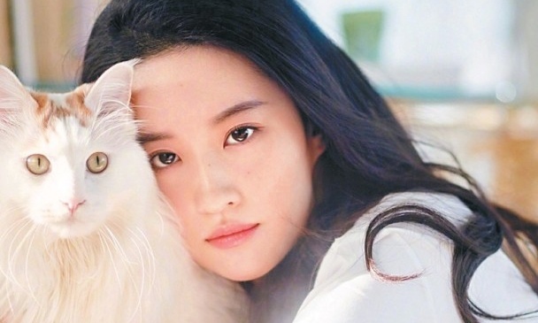 Luu Diec Phi bao ve luan van anh 2