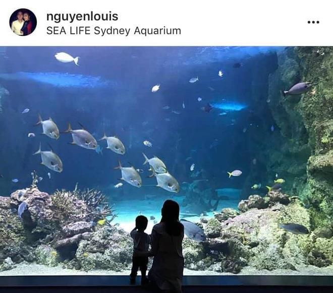 Con nha sao Viet giau co anh 13