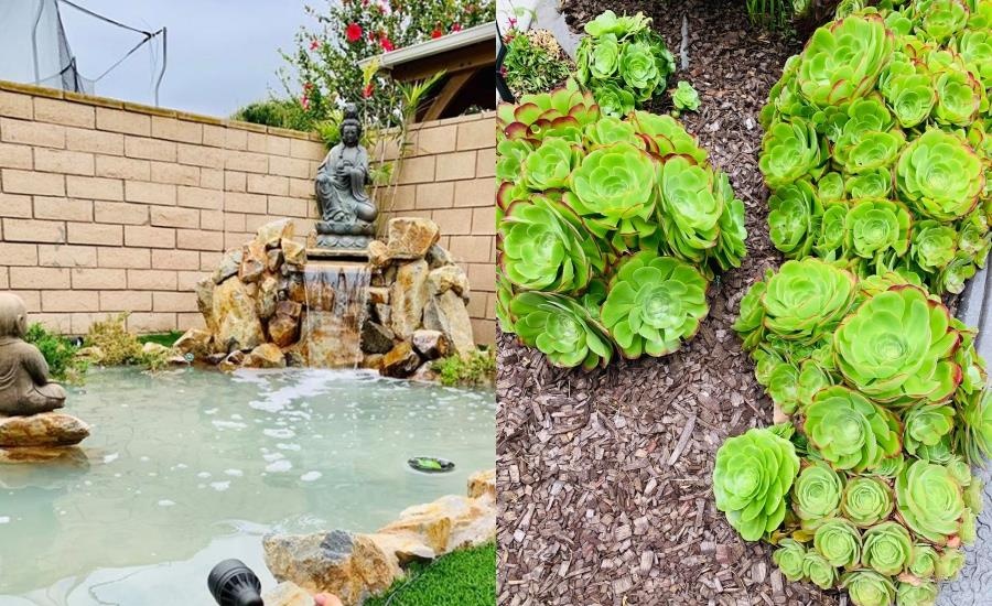 Biet thu cua Le Quyen o My anh 3