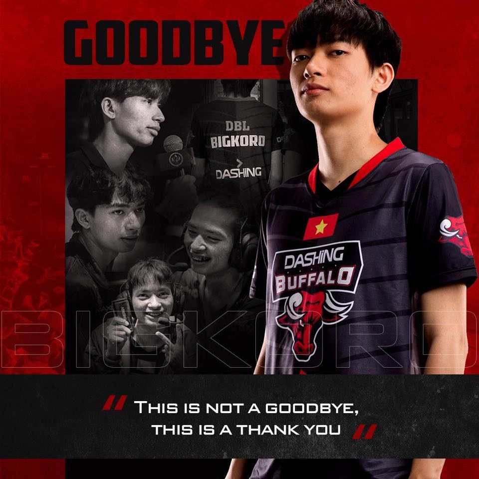 Bigkoro,  Dashing Buffalo,  Lien Minh Huyen Thoai,  VCS anh 1