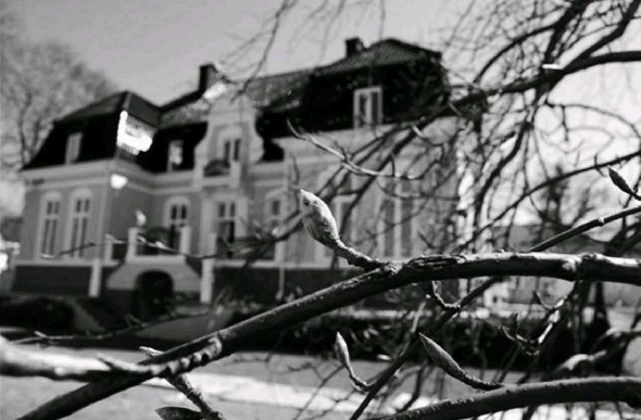 Zlatan Ibrahimovic,  Inter,  Mino Raiola anh 3