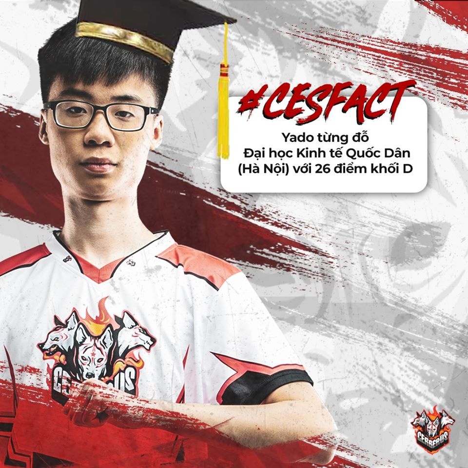 Yado,  Lien Minh Huyen Thoai,  VCS mua he 2020,  Chung ket the gioi,  Cerberus,  GAM anh 3