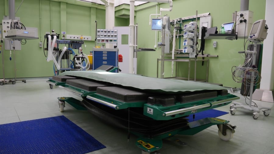 benh vien lac da o Dubai anh 1