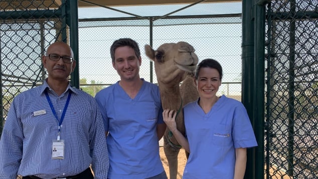 benh vien lac da o Dubai anh 3