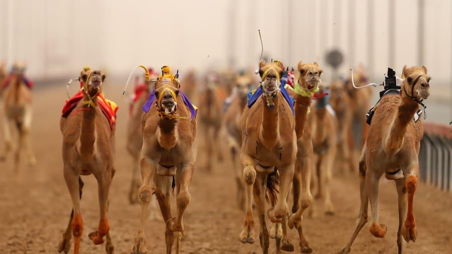 Ben trong benh vien 10 trieu USD danh cho lac da o Dubai hinh anh