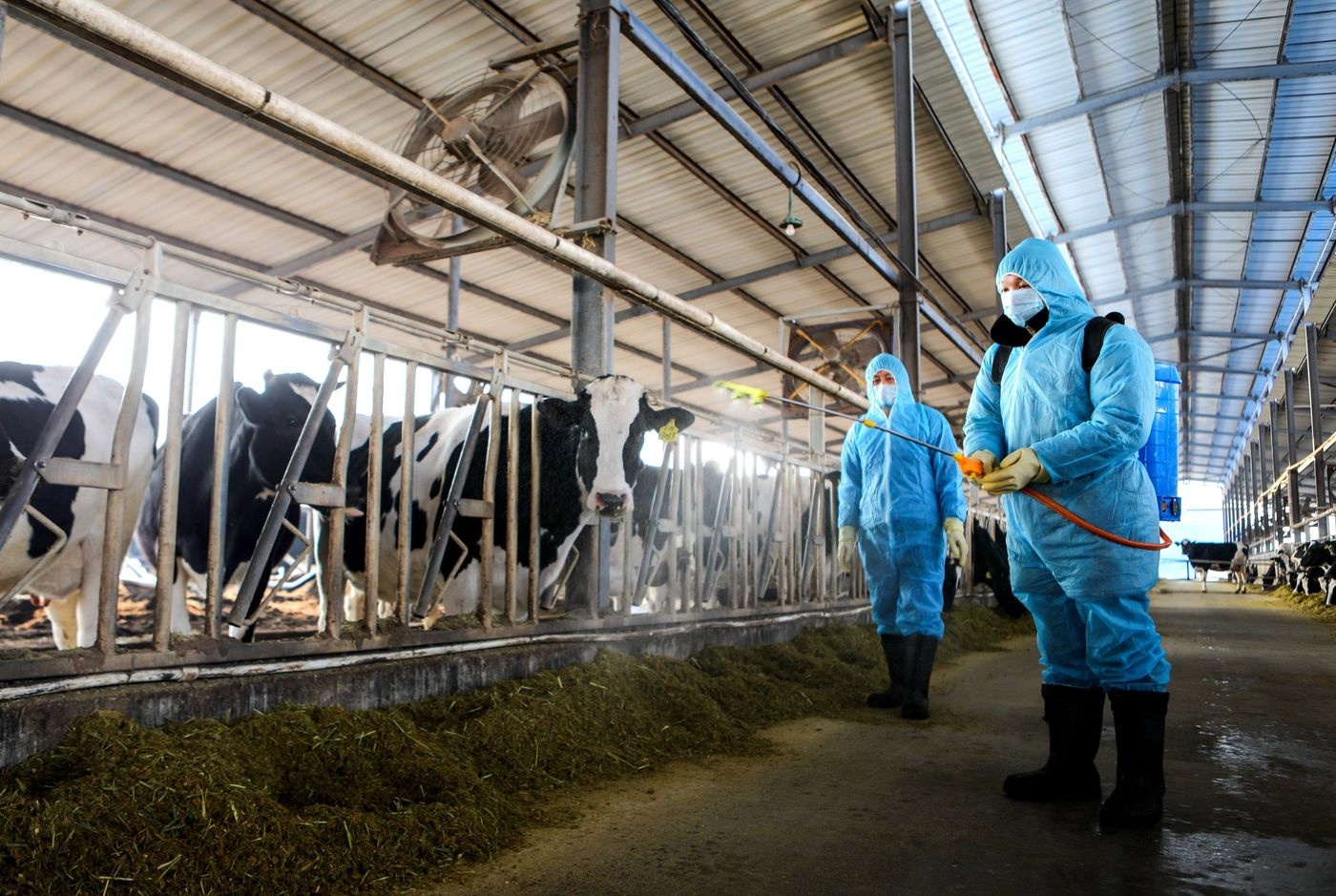 Trung Quoc dam bao thuc pham trong dich virus corona anh 2