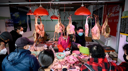 Thieu gia cam vi dich Covid-19, Trung Quoc nhap khau ga tu My hinh anh