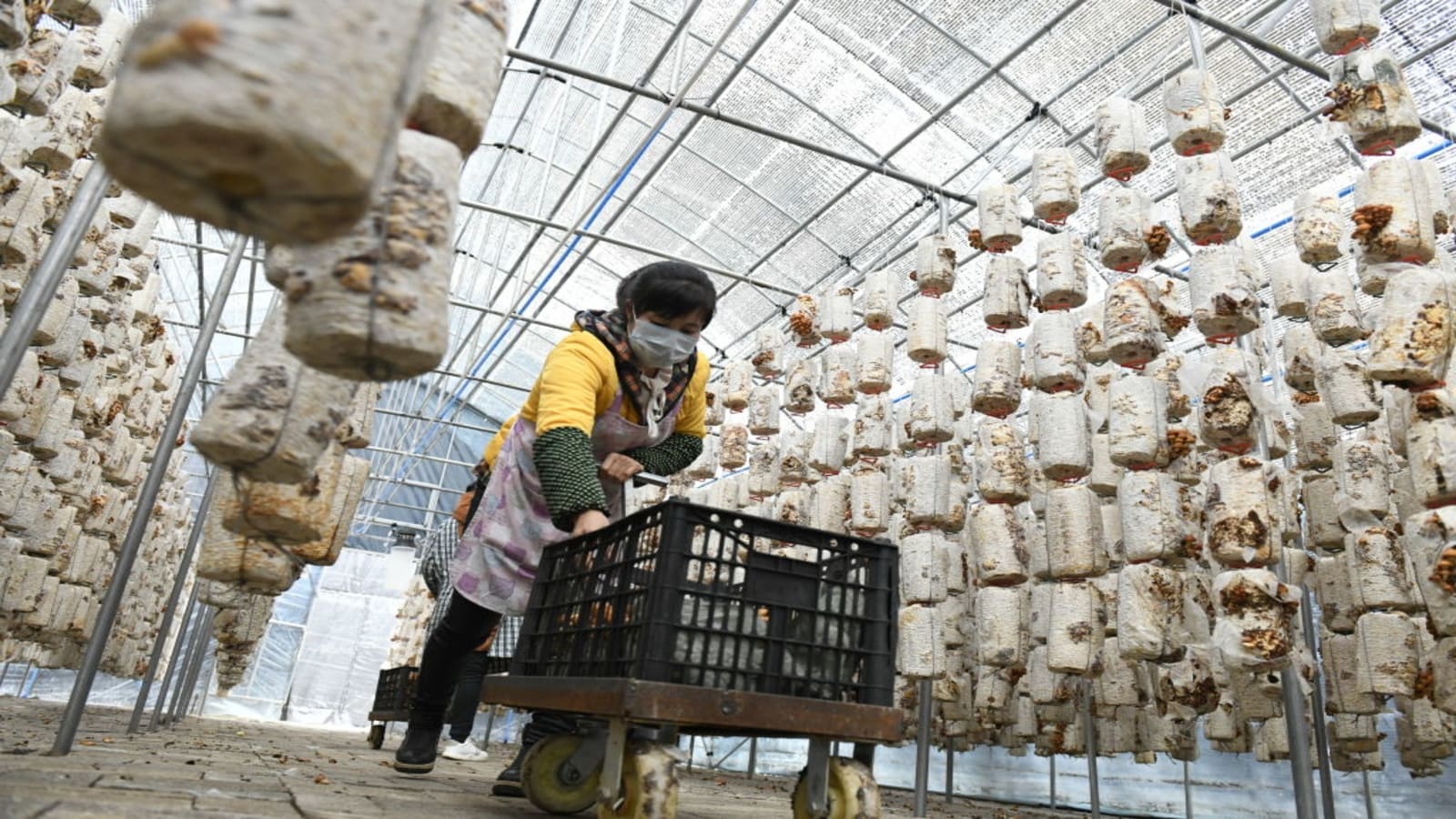 GDP Trung Quoc anh 3