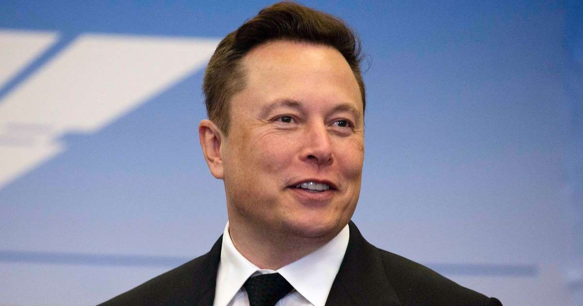 Elon Musk anh 1