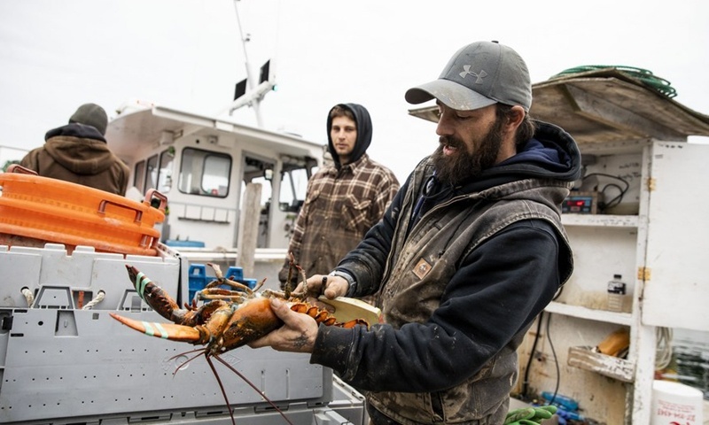 My EU cat giam thue anh 1