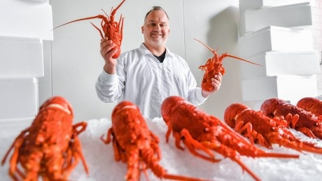 My va EU dat thoa thuan cat giam thue hinh anh