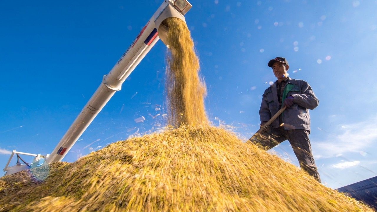 chien dich sach dia anh 1