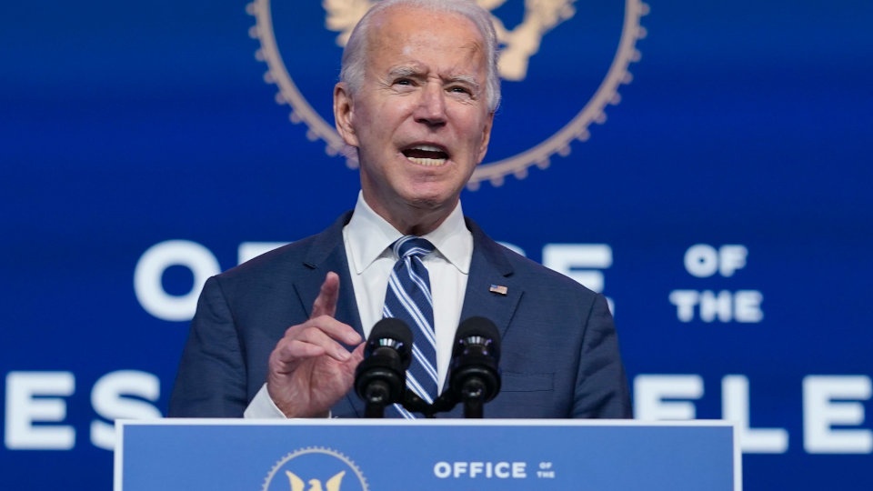 Amazon thue anh trai co van tranh cu cua Joe Biden hinh anh