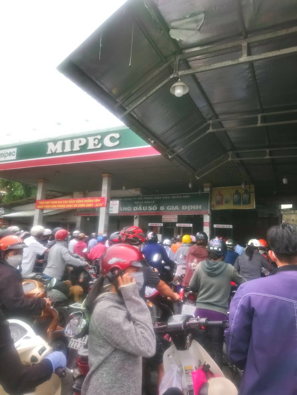 cay xang dong cua anh 1