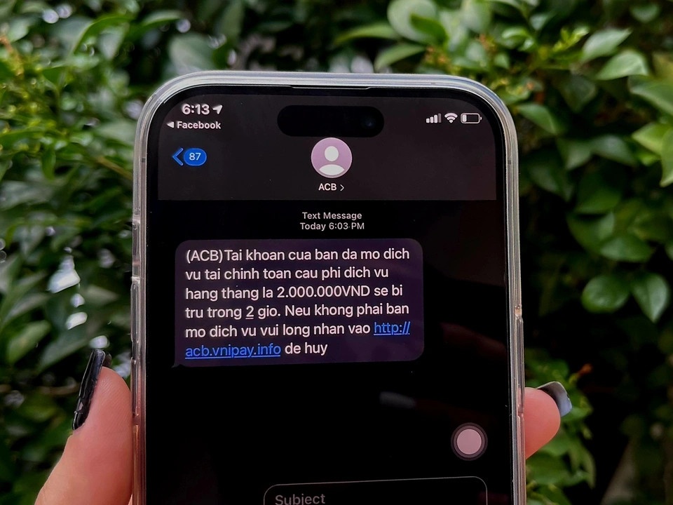 Hon 50.000 vu lua dao qua mang tai Viet Nam trong nua dau nam hinh anh