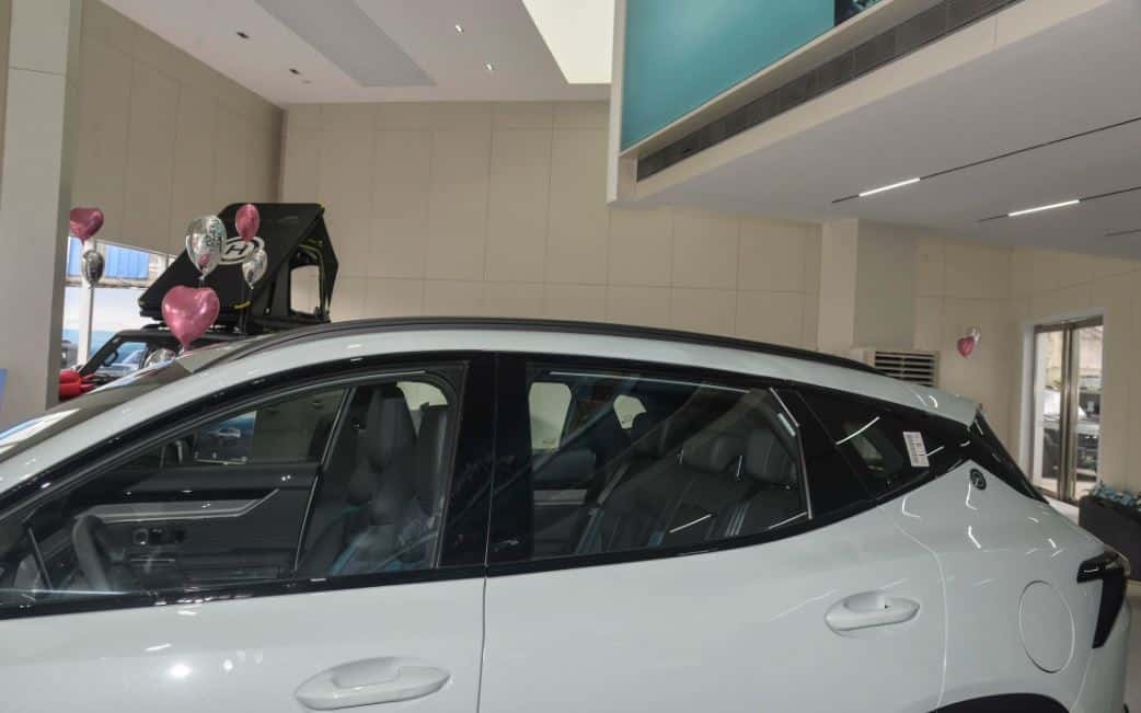 xe dien Trung Quoc anh 5