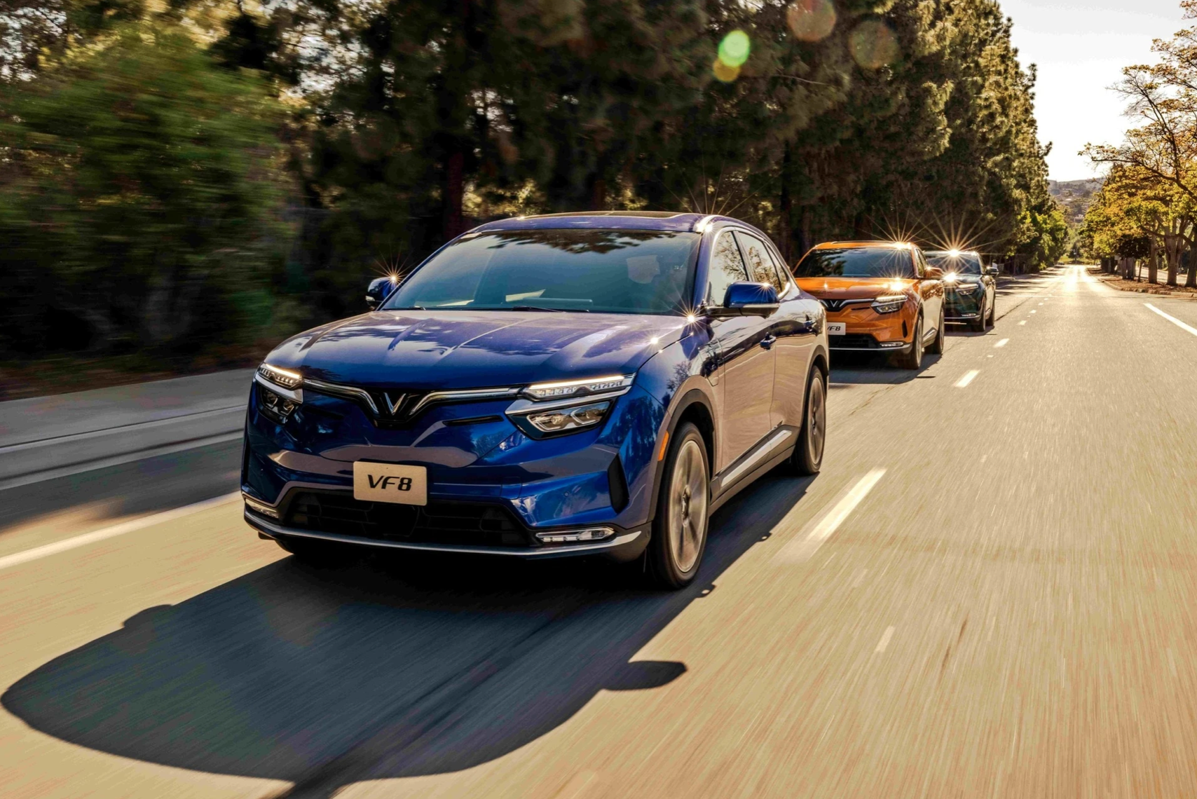 thue xe tu lai anh 2