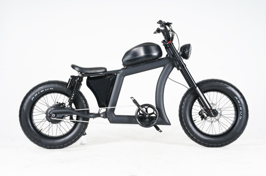 xe dien Trung Quoc anh 2