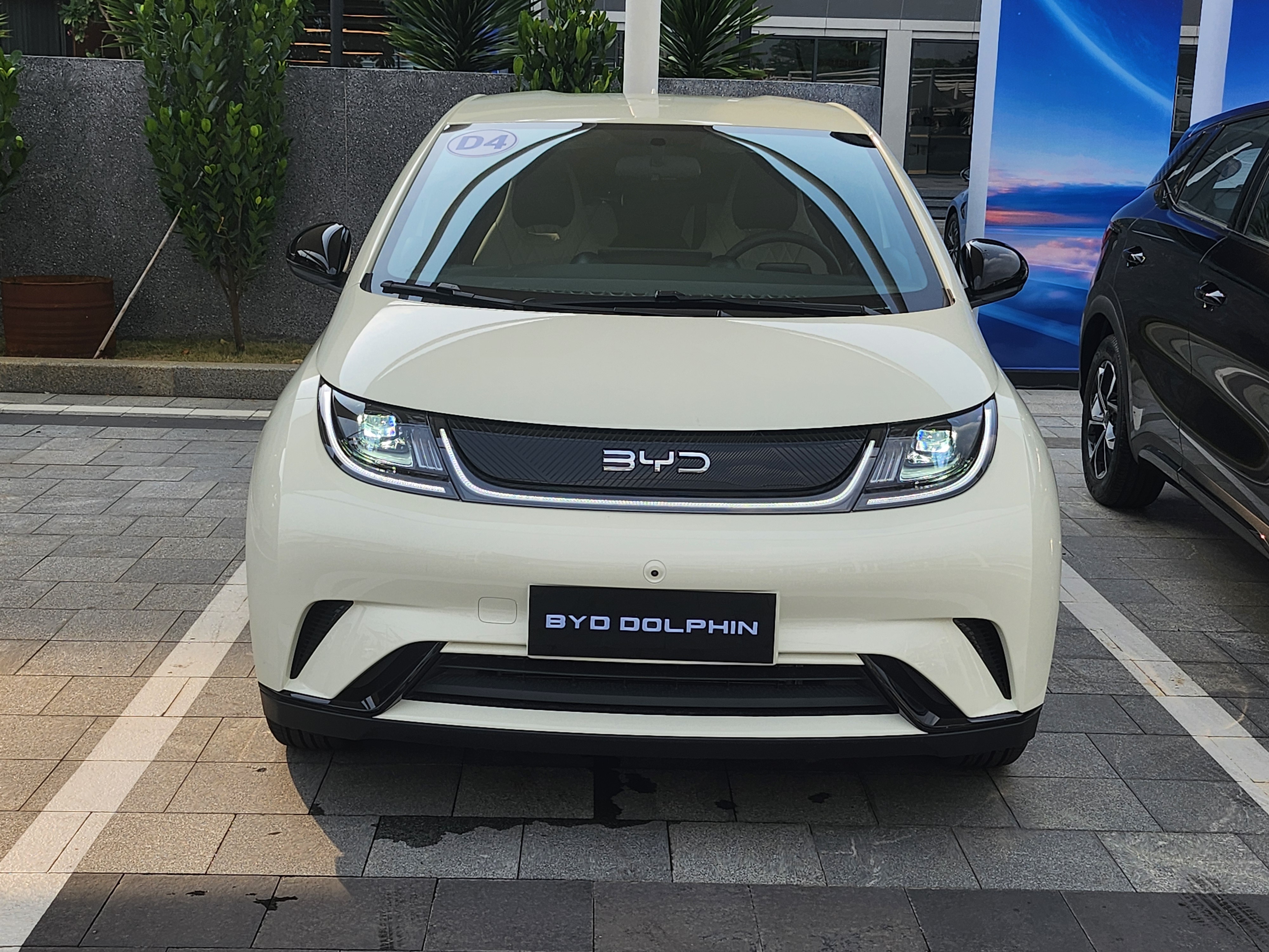 BYD Dolphin ảnh 3 BYD Dolphin anh 3