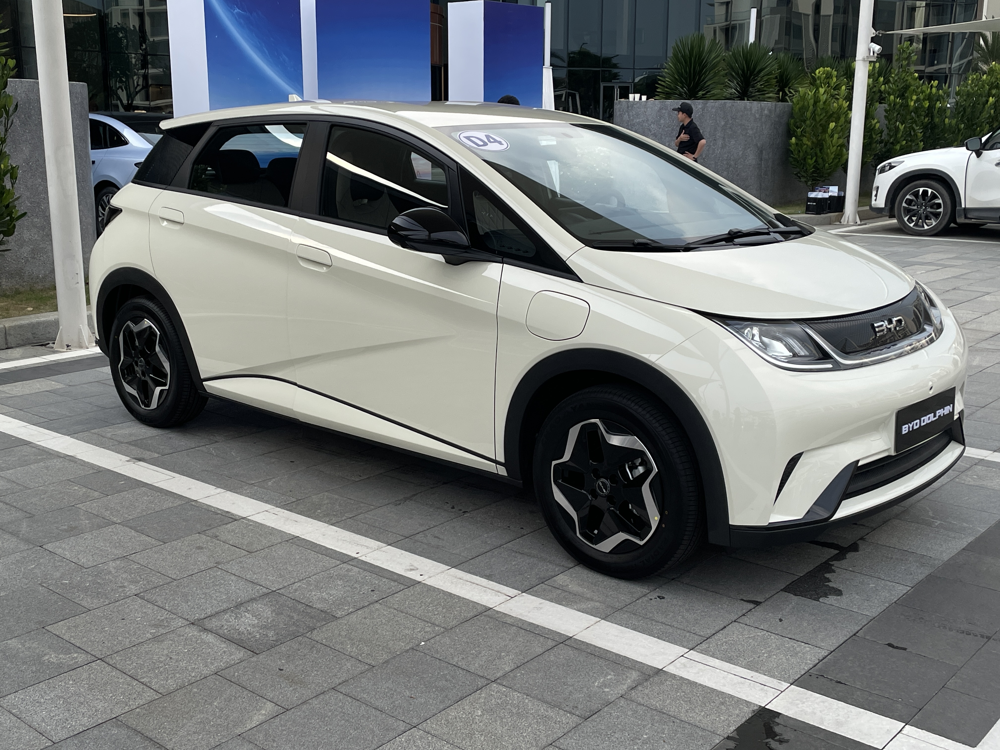 BYD Dolphin co gi de canh tranh o nhom hatchback co nho? hinh anh