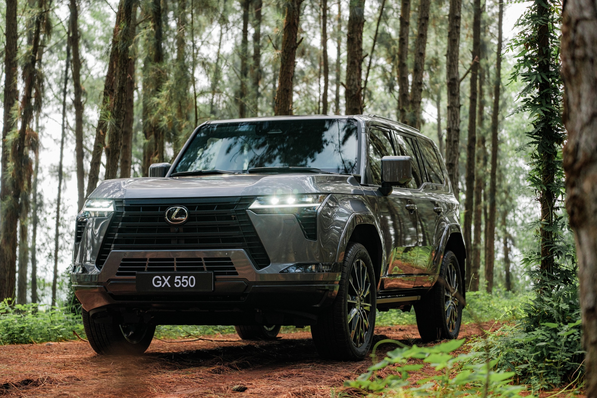 Lexus GX 550 moi ra mat tai Viet Nam, gia tu 6,2 ty dong hinh anh