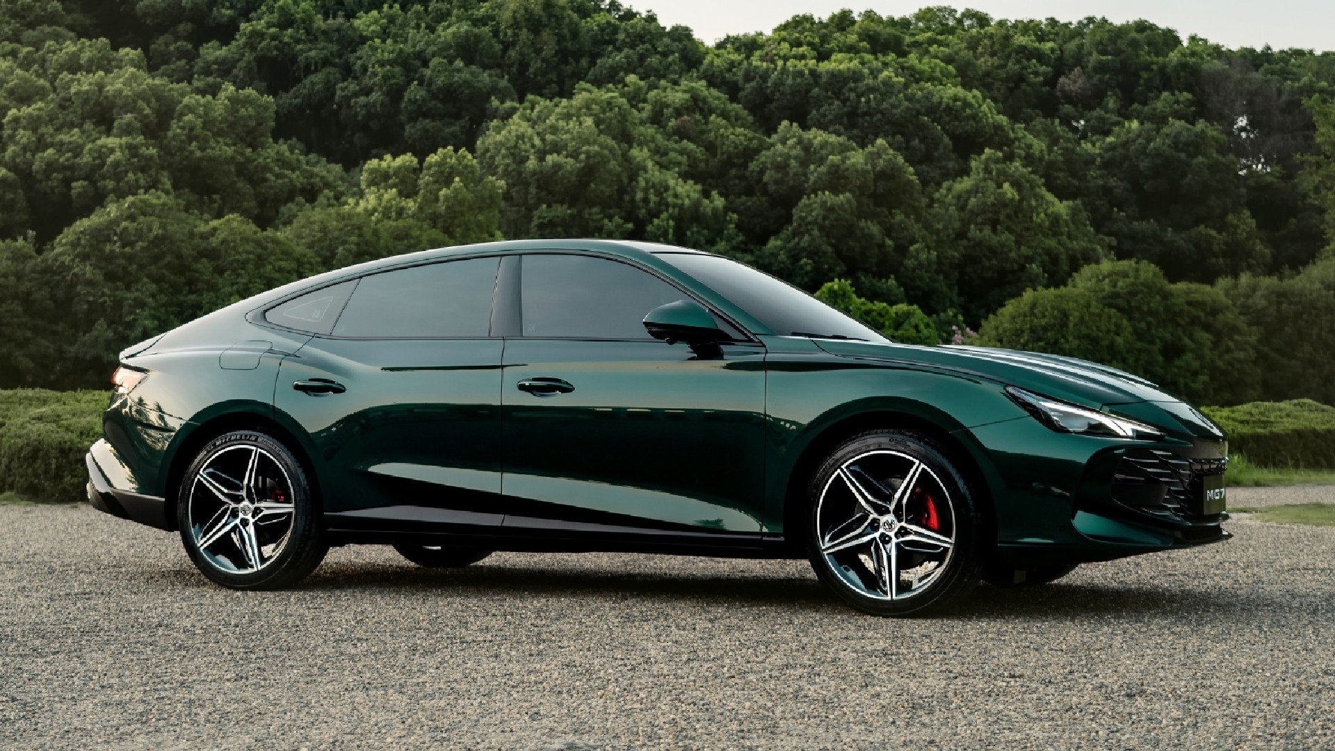 Hyundai Santa Fe 2024 anh 6