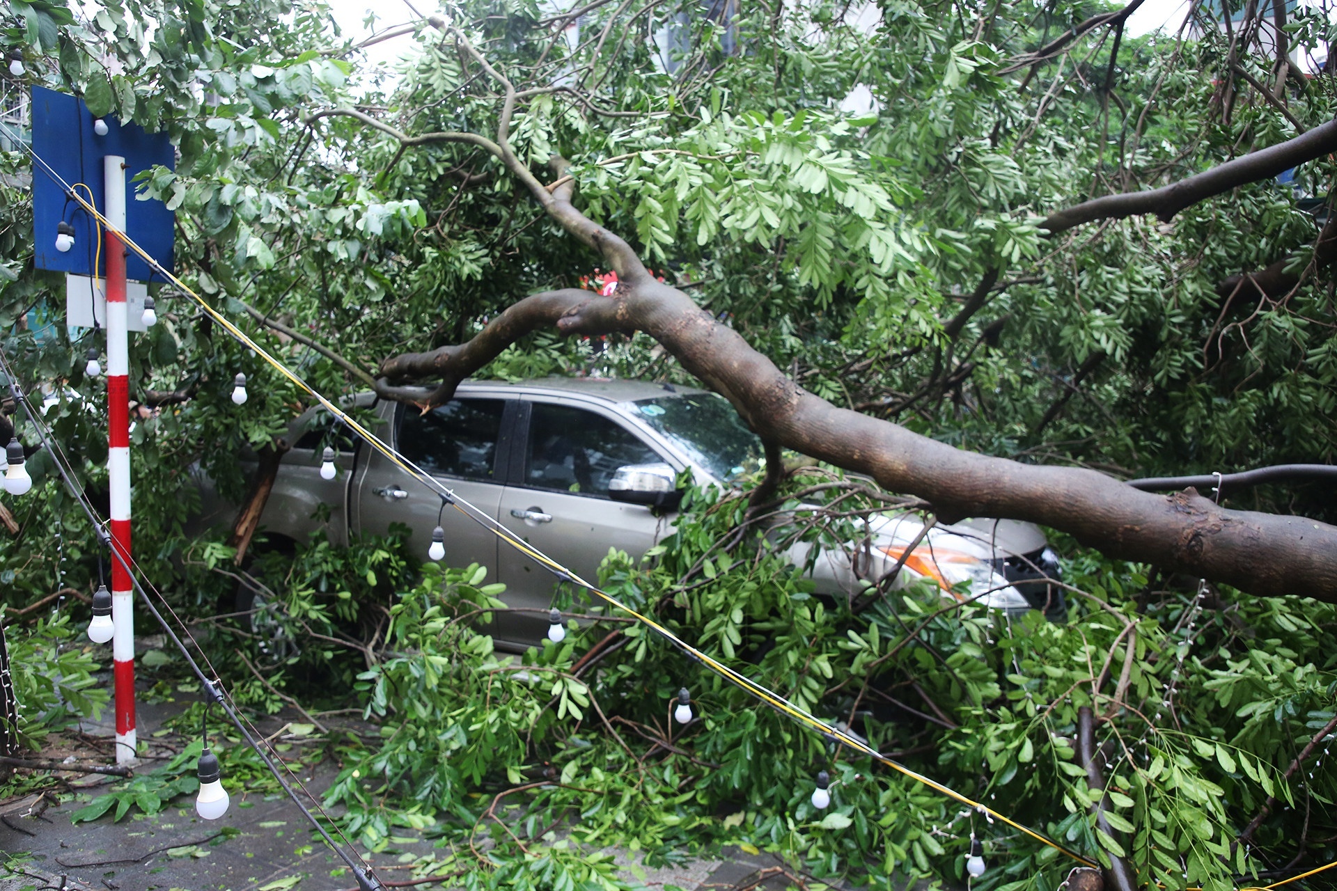 bão Yagi ảnh 1 bao Yagi anh 1