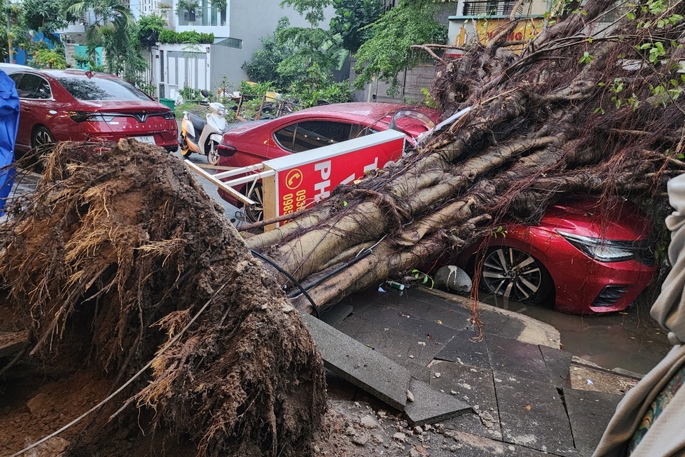 bão Yagi ảnh 2 bao Yagi anh 2