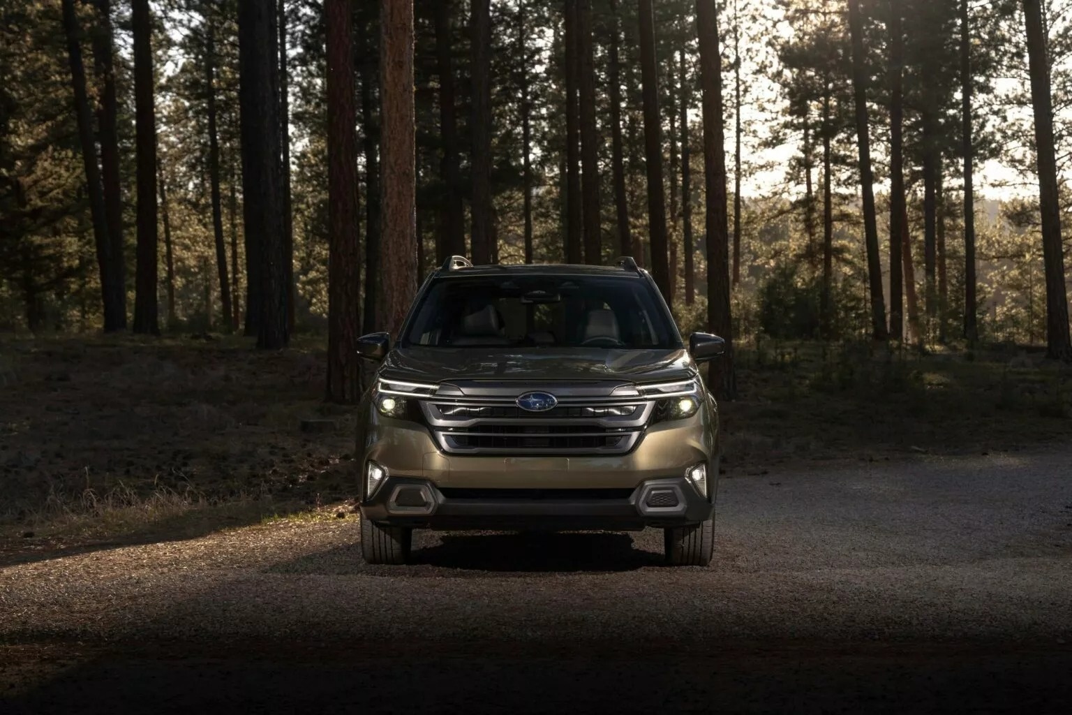 Mo man nam moi, hon 20.000 xe Subaru Forester bi trieu hoi vi loi banh hinh anh