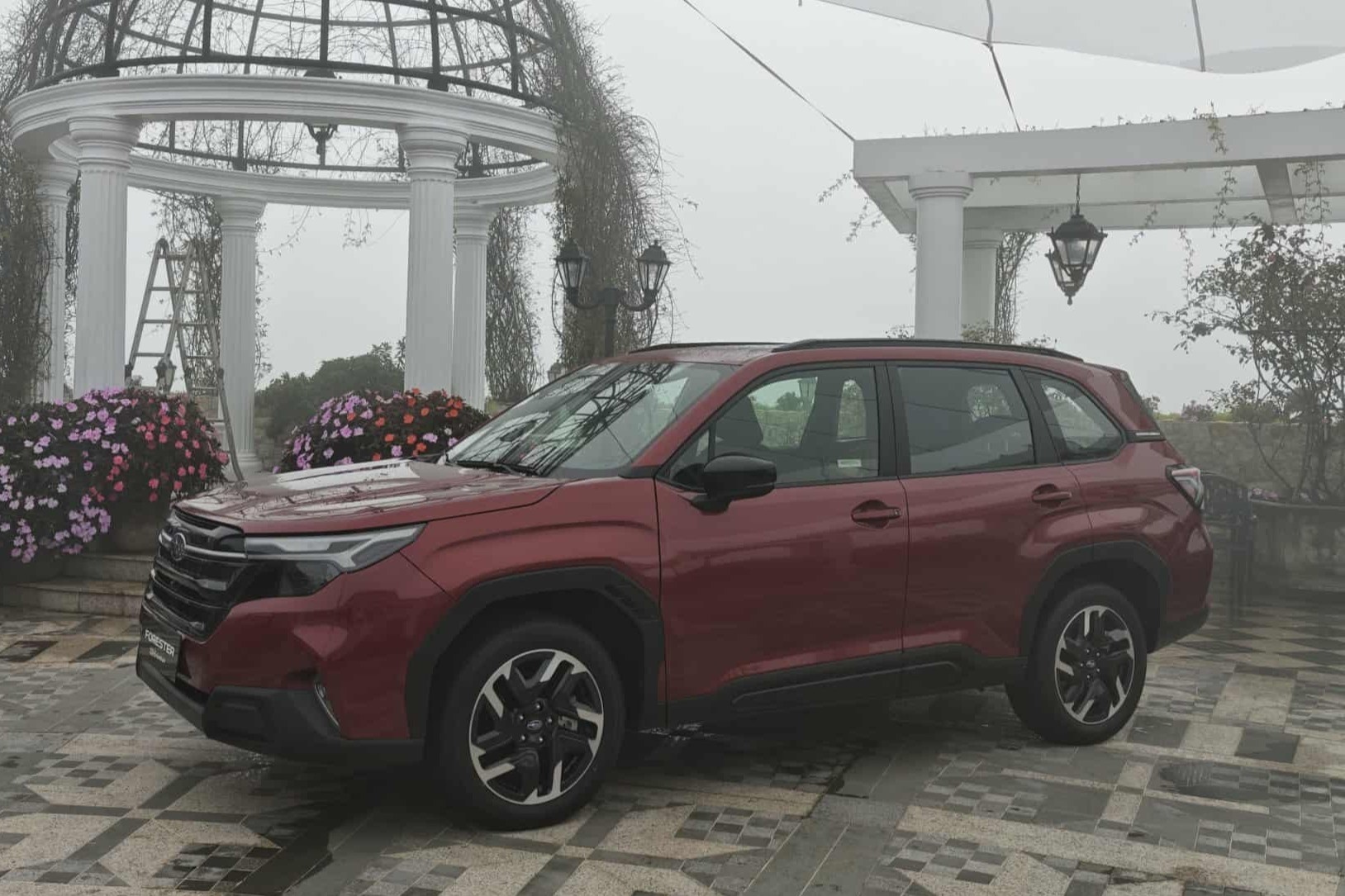 Ai mua Subaru Forester gia gan 1,4 ty dong? hinh anh