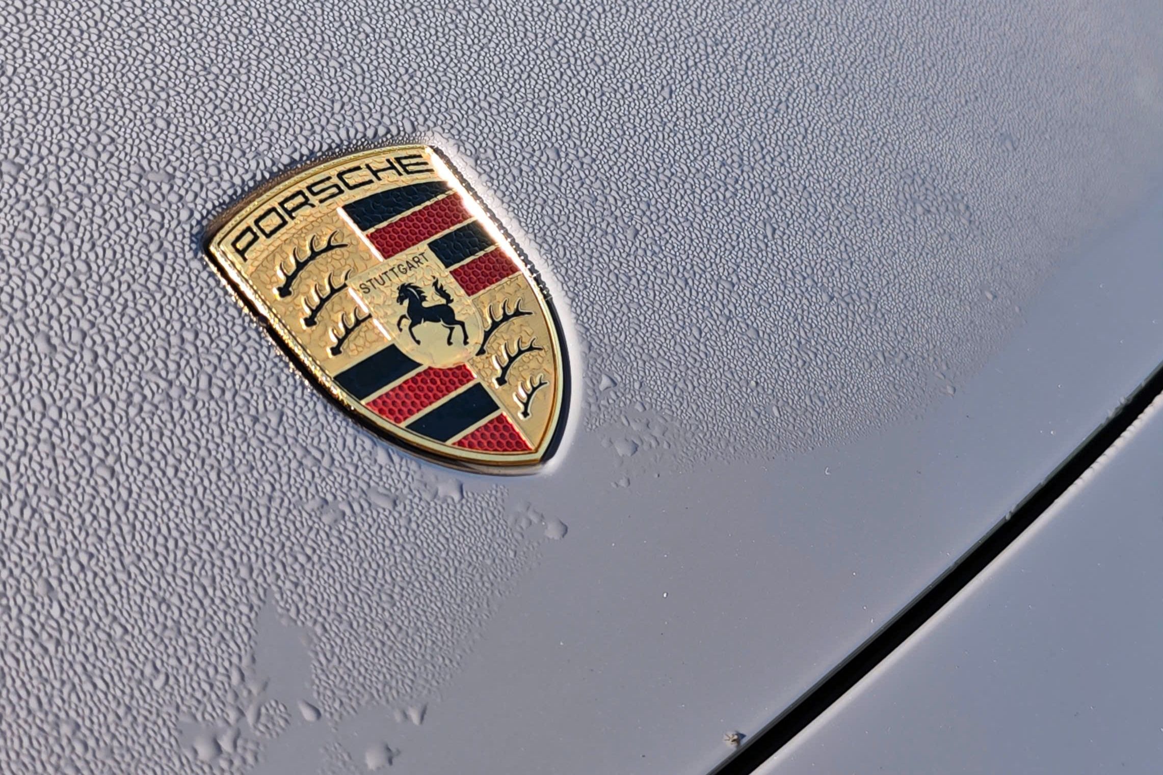 Porsche Macan 4 EV anh 19