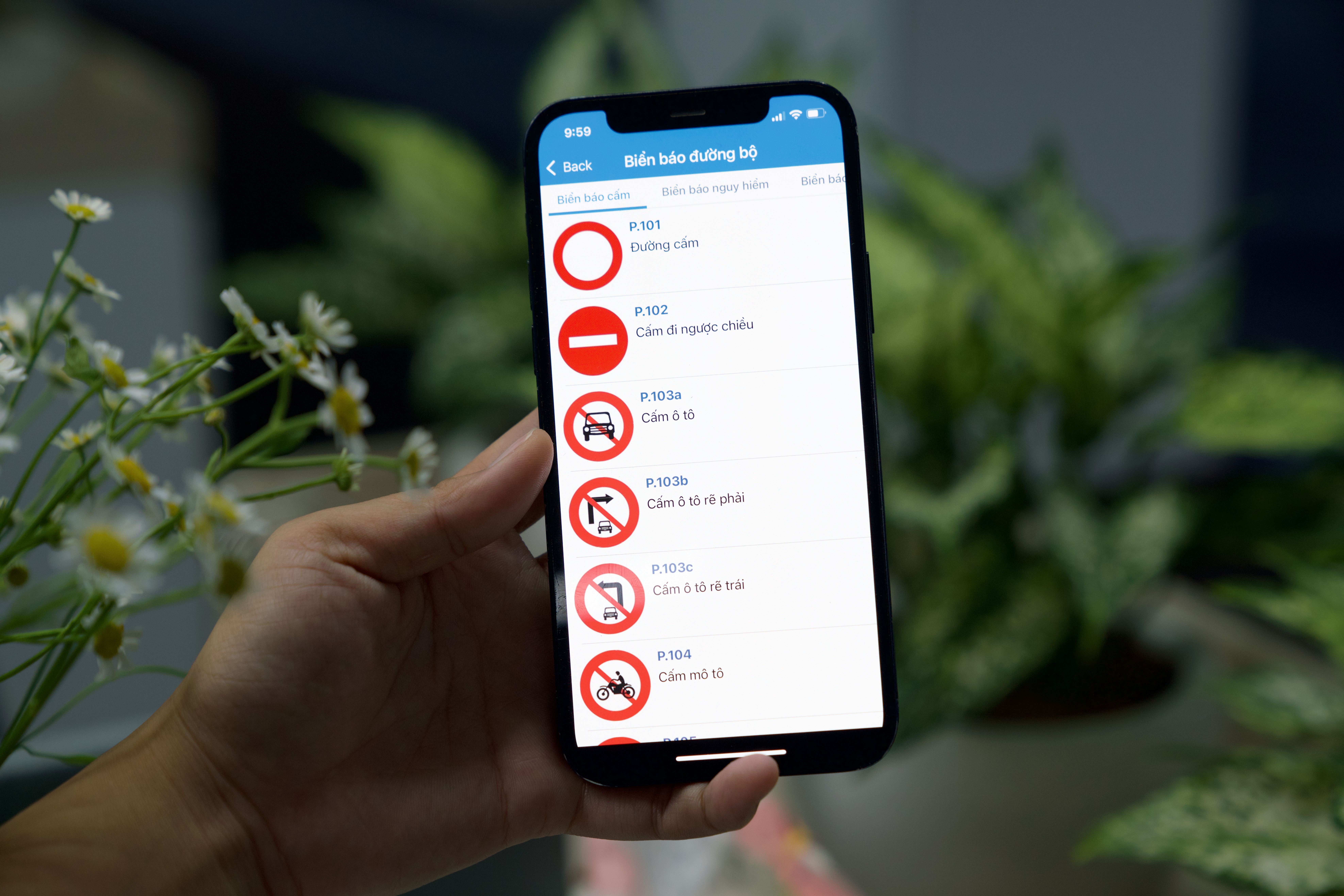 Loat thay doi ve viec thi sat hach cac 'lai moi' can luu y hinh anh