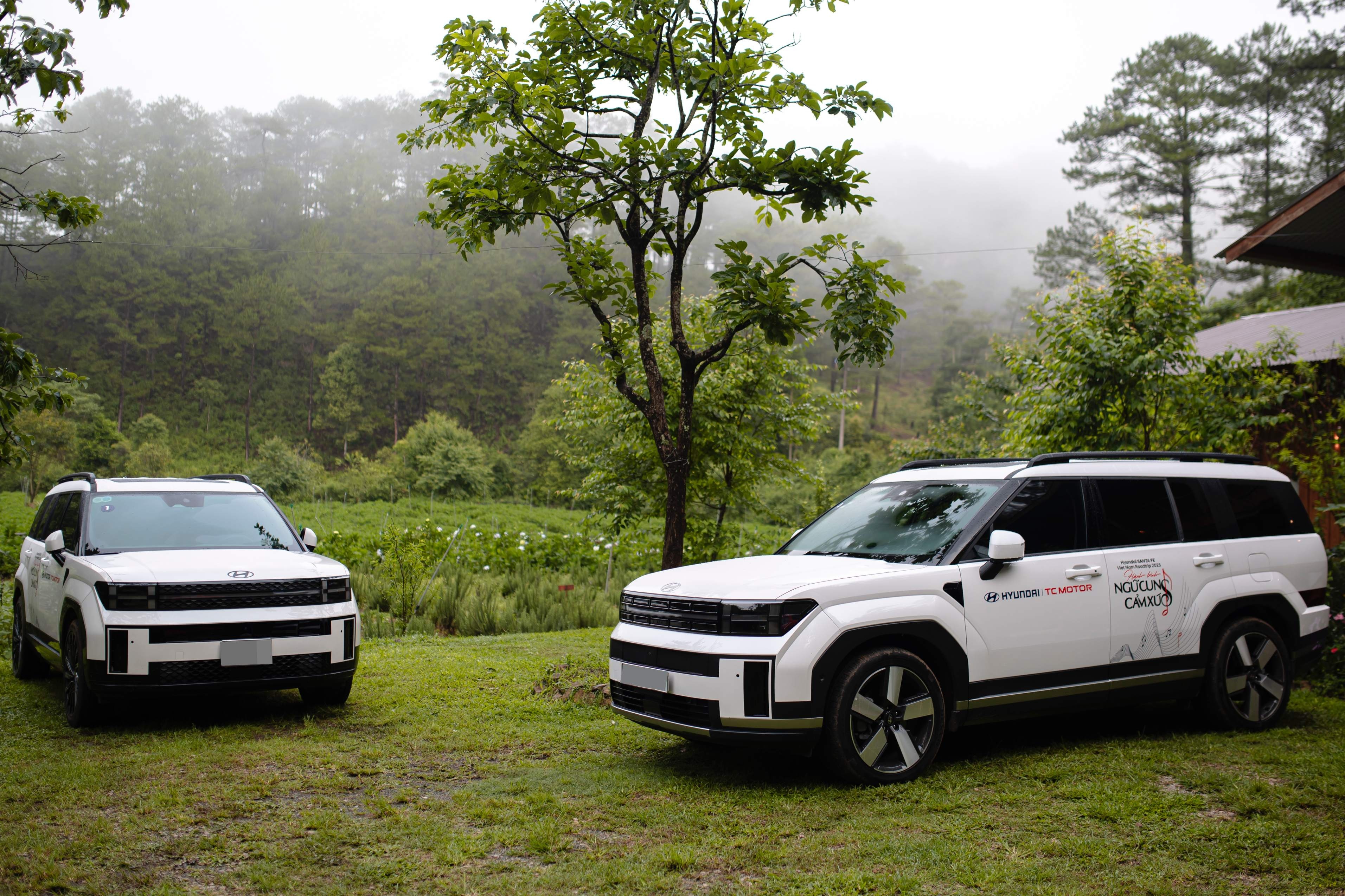 xe Han,  Kia,  Hyundai anh 1