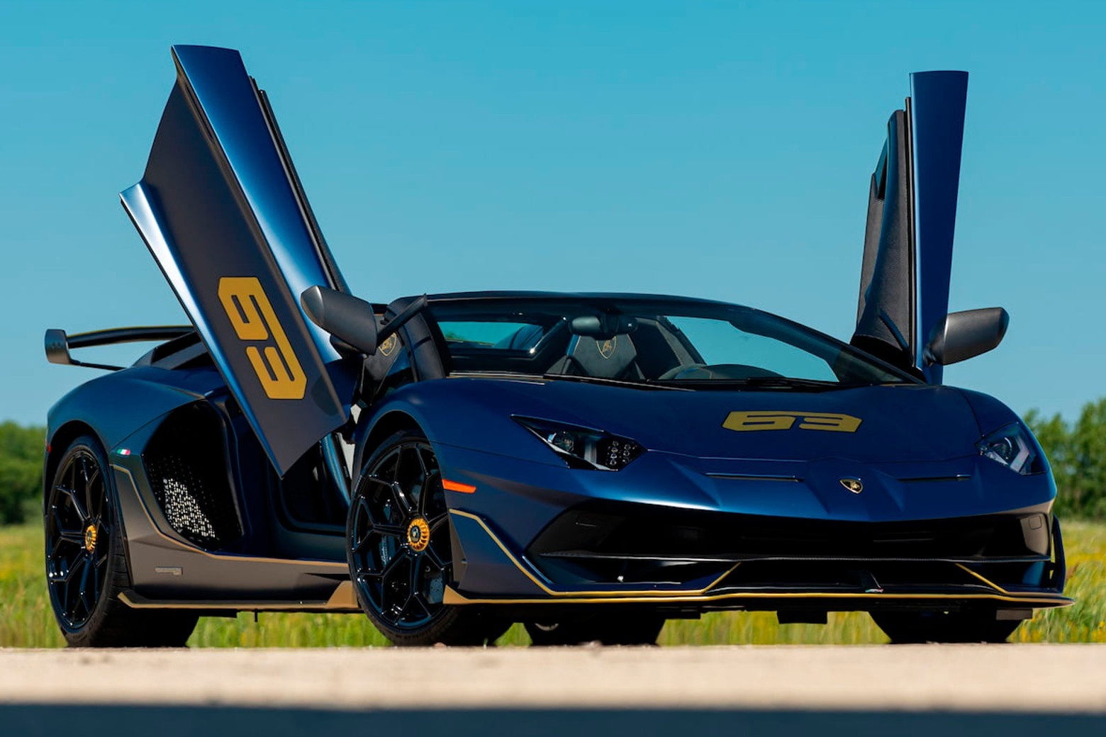 Lamborghini SVJ 63 Roadster anh 1