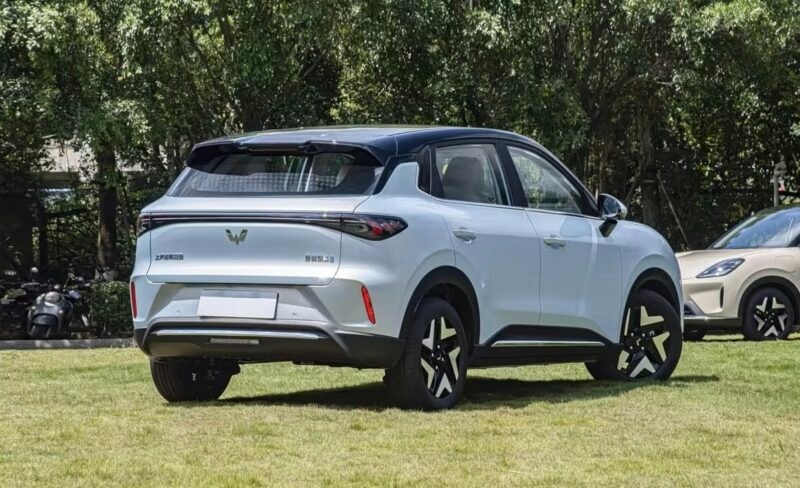 Xe dien Wuling Bingo anh 1