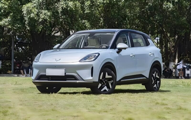 Xe dien 'e' tai Viet Nam lai ra ban moi hinh anh