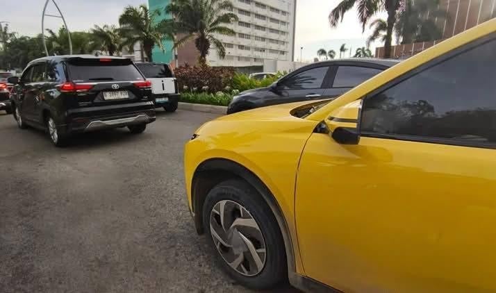 VinFast Limo Green anh 1