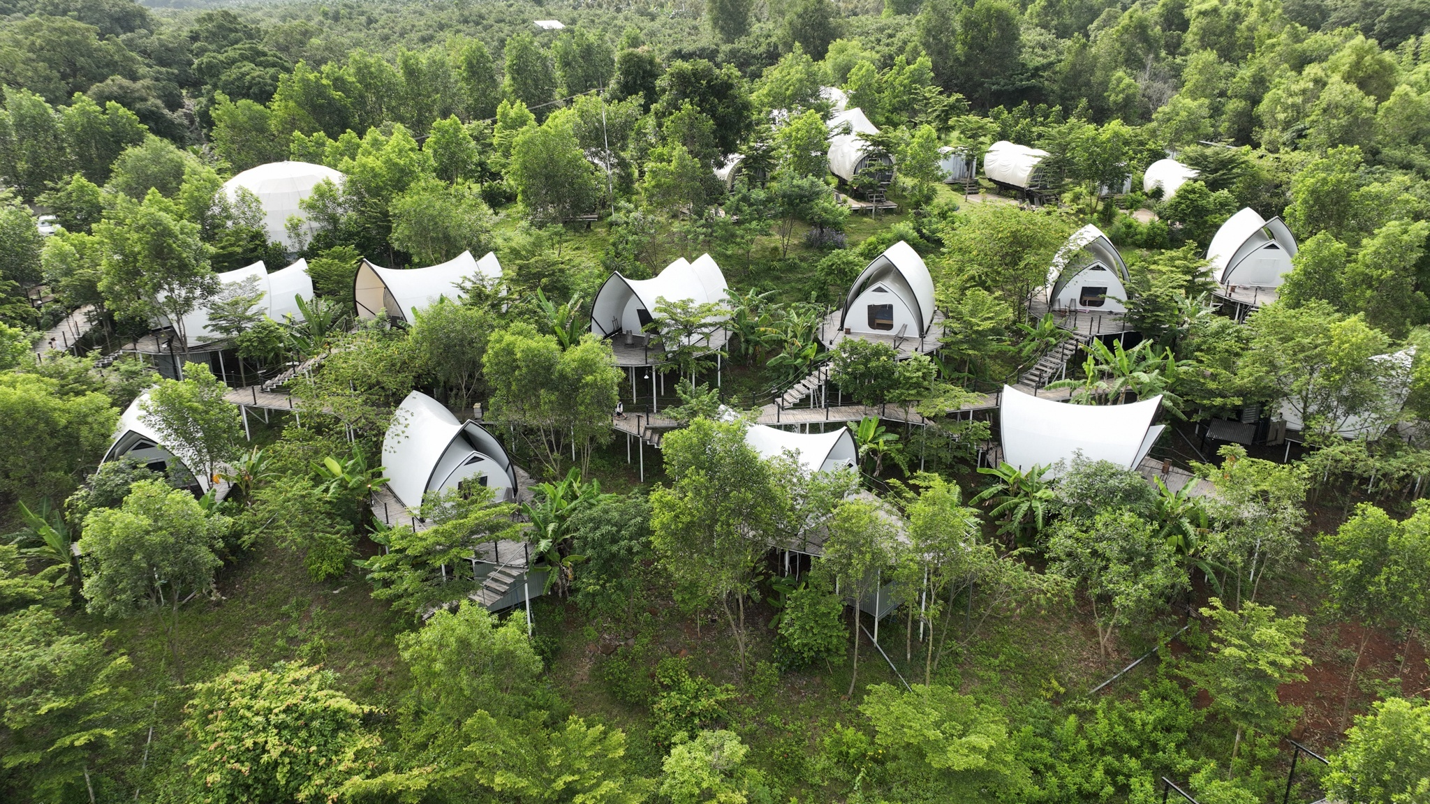 Tet Duong lich,  xe anh 3