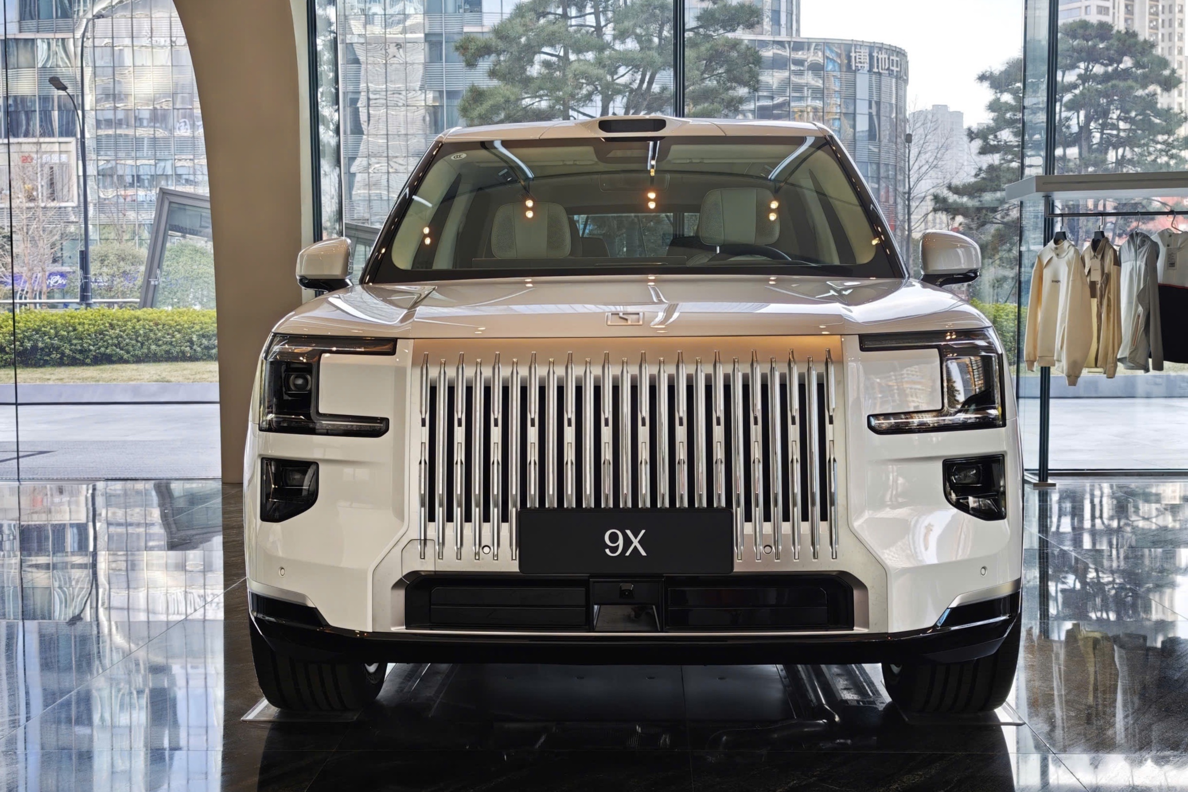 Sau Tet, xe nao se som xuat hien o Viet Nam? hinh anh