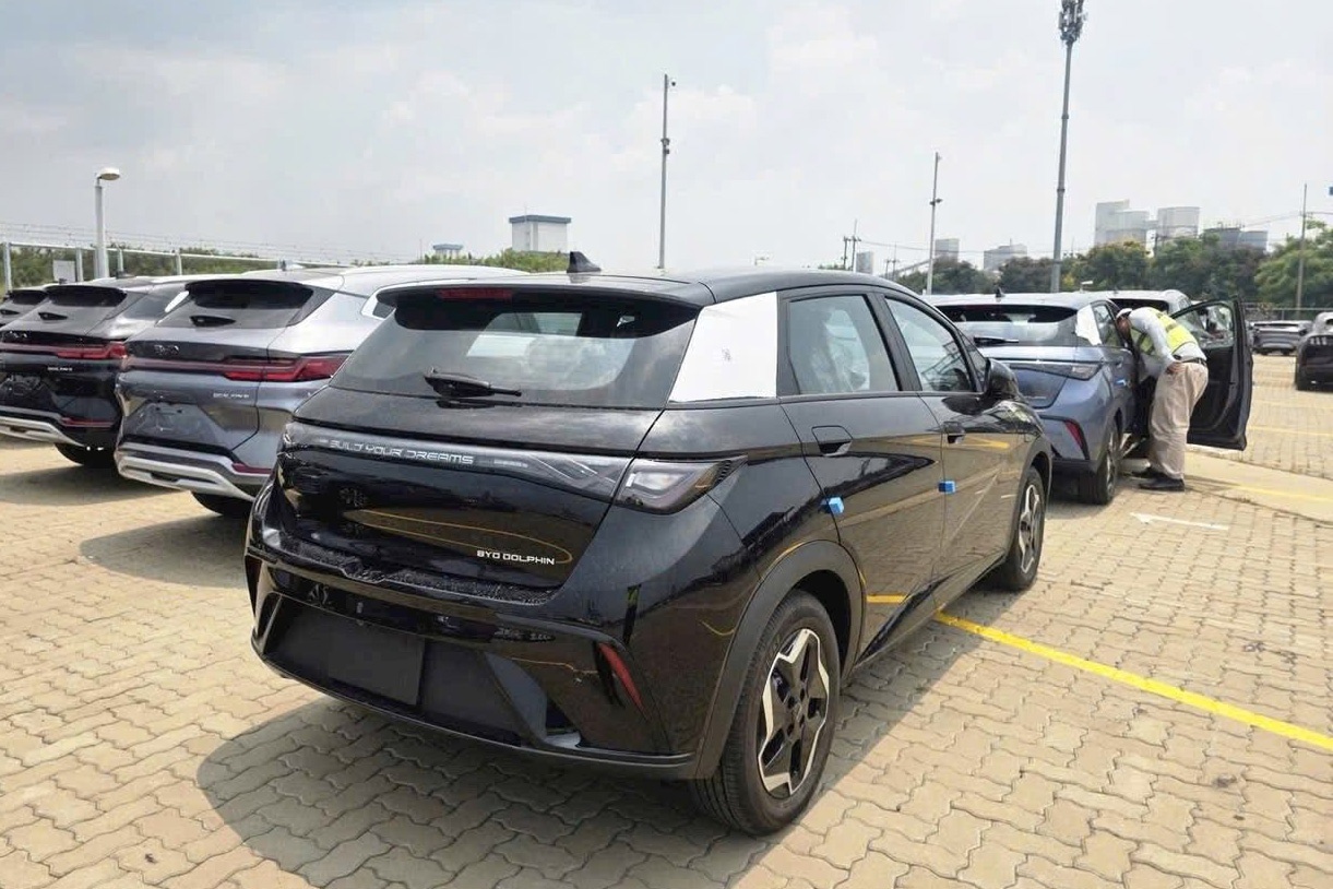 BYD,  Dolphin anh 1