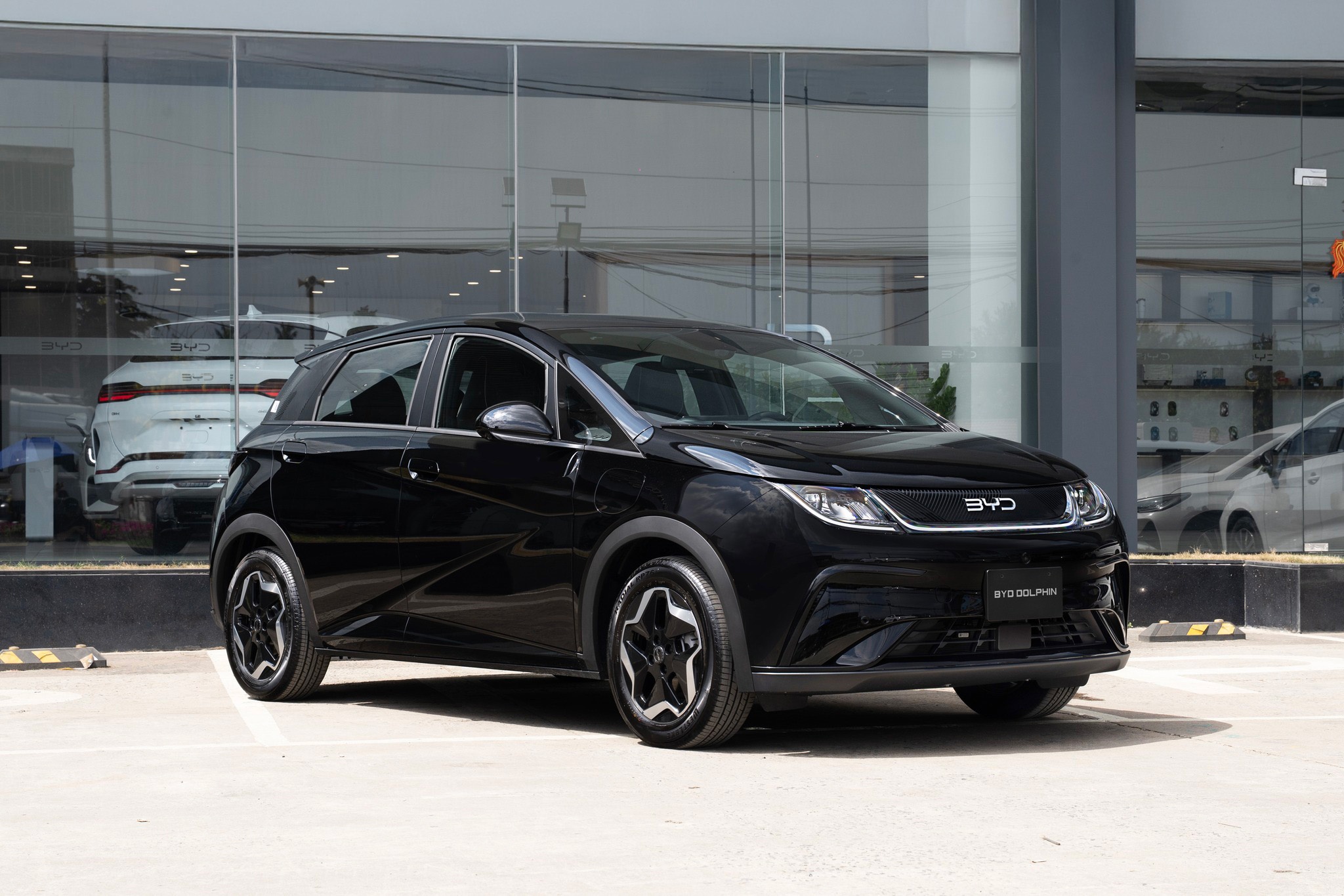 'Noi lai cho ro' ve kich thuoc cua BYD Dolphin moi ra mat o Viet Nam hinh anh