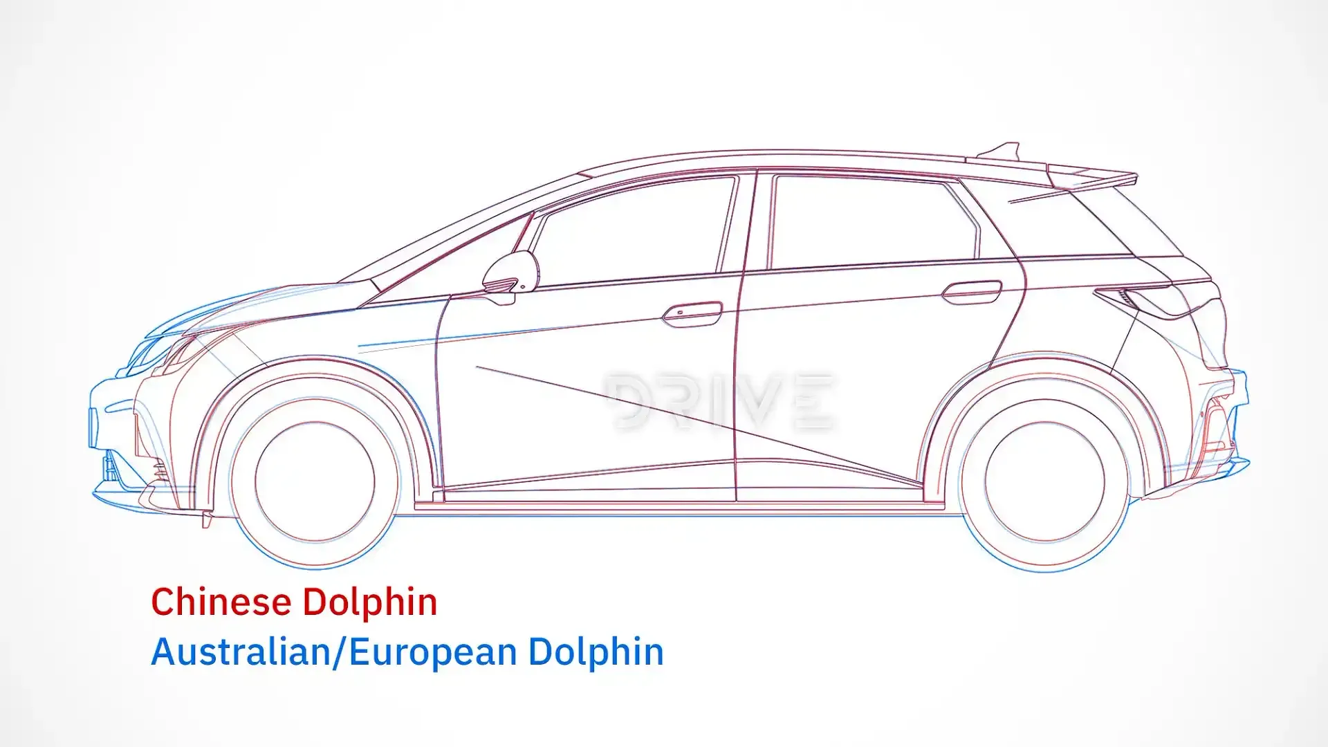 BYD,  Dolphin anh 1