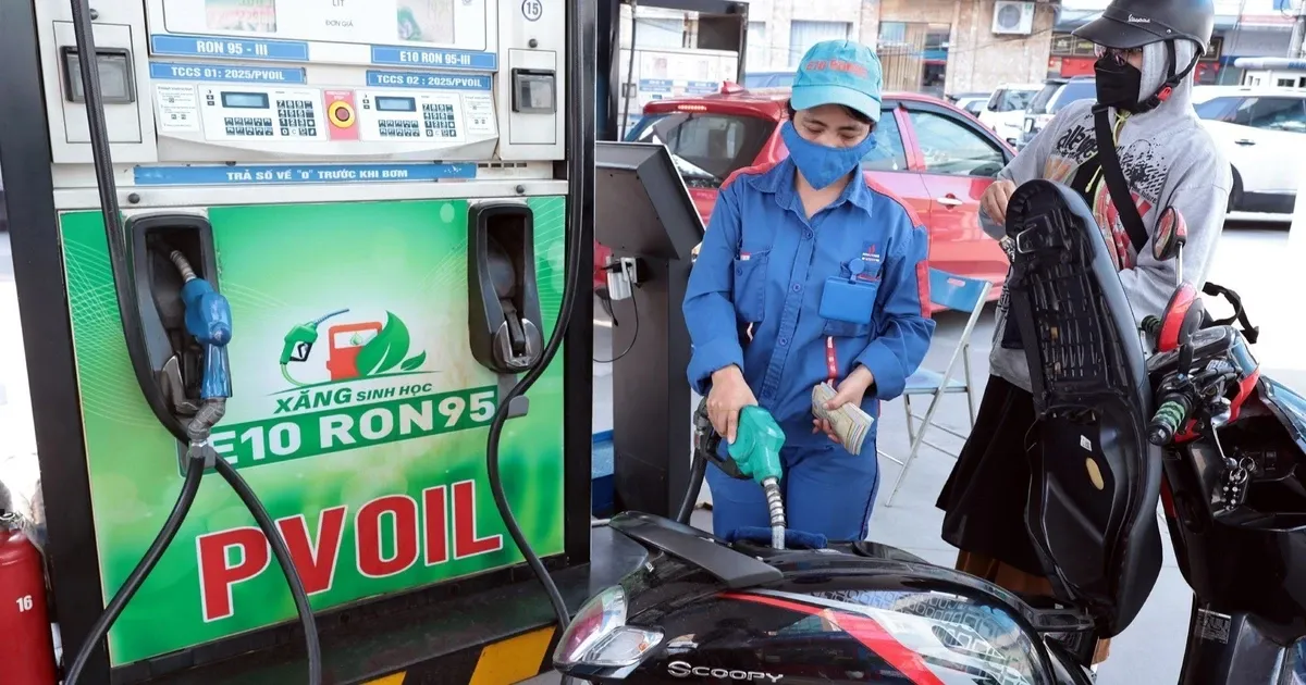 VAMA 'giai ma' lo ngai ve an toan cho dong co khi dung xang E10 hinh anh