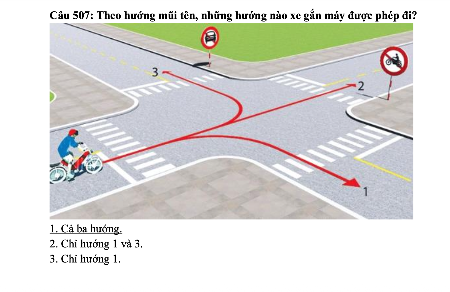 xe,  thi bằng l&aacute;i ảnh 2