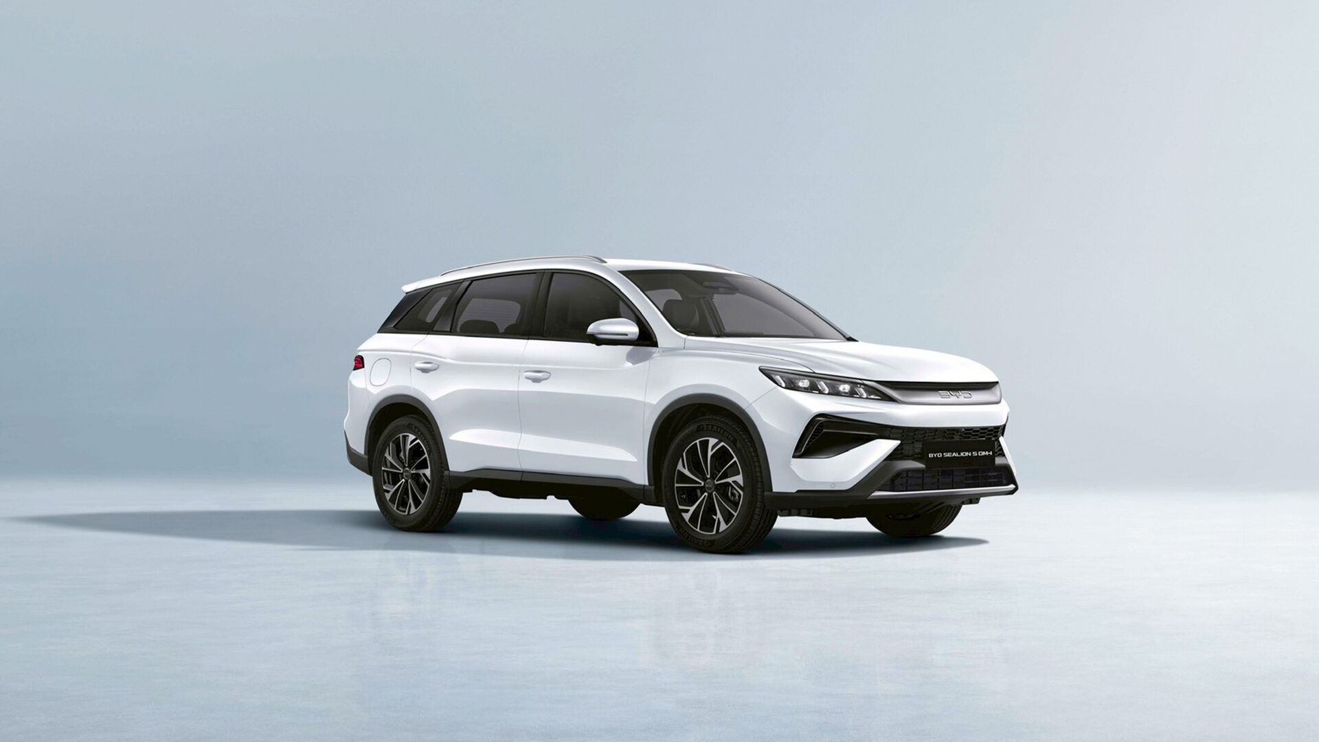 BYD,  Sealion 5 ảnh 1