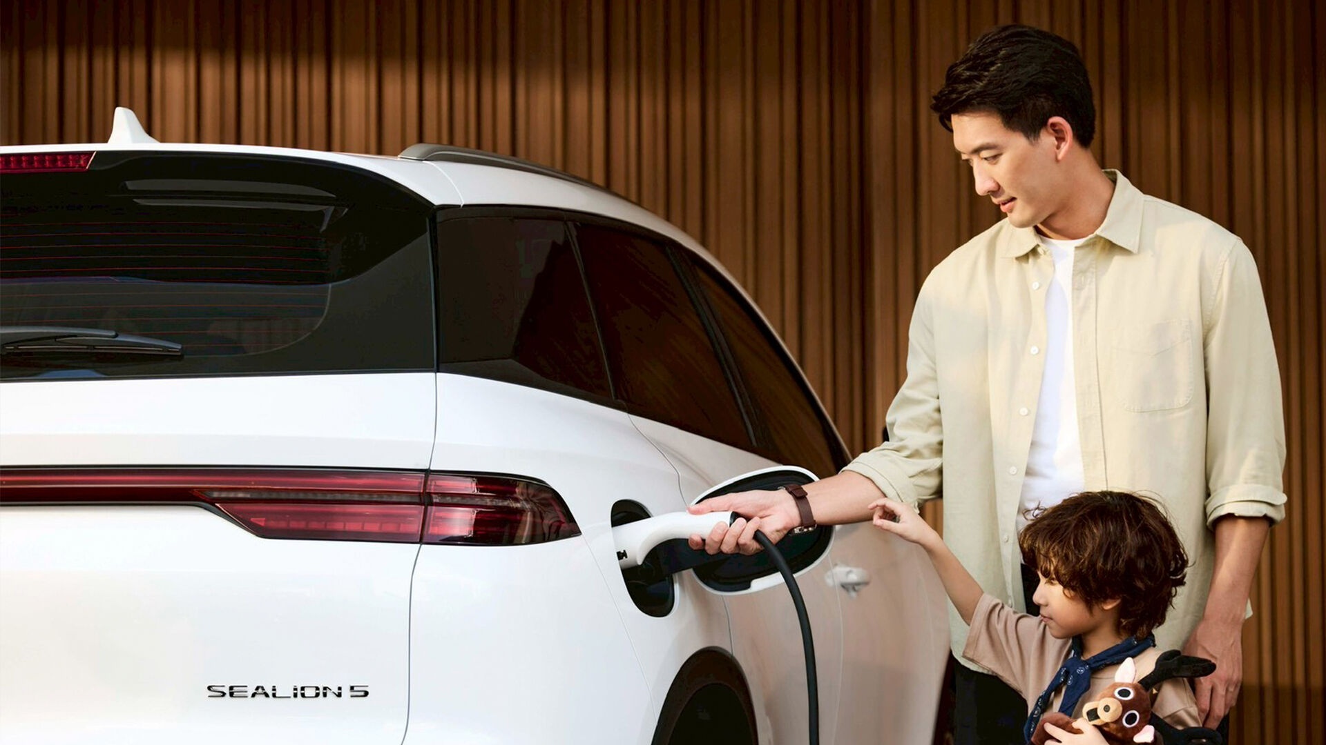BYD,  PHEV ảnh 2