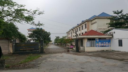 trường đào tạo chui ảnh 1 truong dao tao chui anh 1