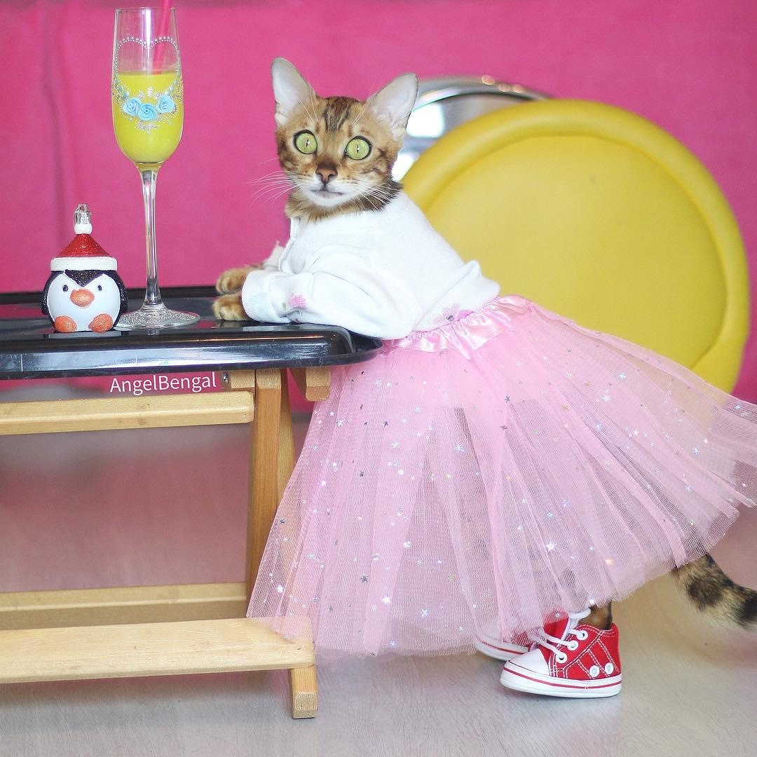 co gai va chu meo di du lich anh 10