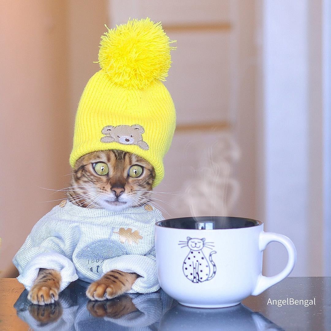 co gai va chu meo di du lich anh 11